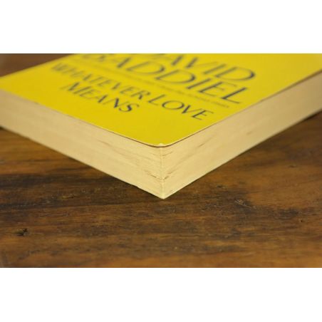 Whatever Love Means | Contemporary | Mickle & More Second-Hand Books