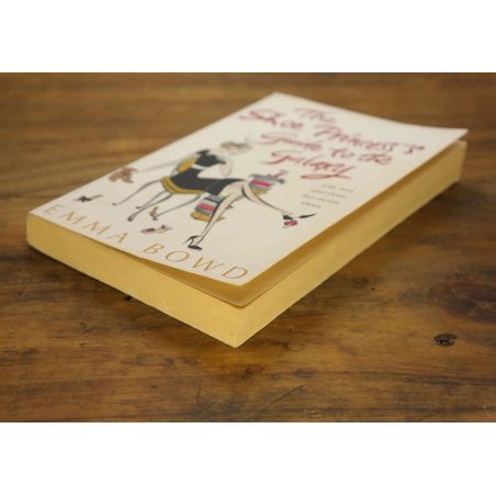 The Shoe Princess's Guide To The Galaxy | Romance | Mickle & More Second-Hand Books