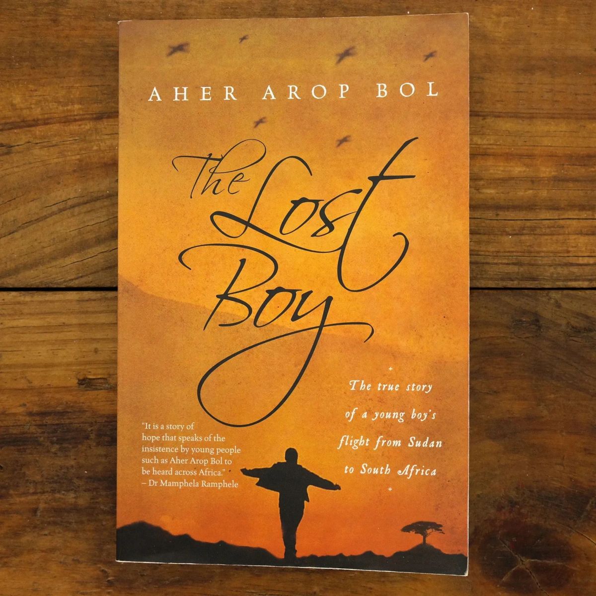 The Lost Boy | Biographies | Mickle & More Second-Hand Books