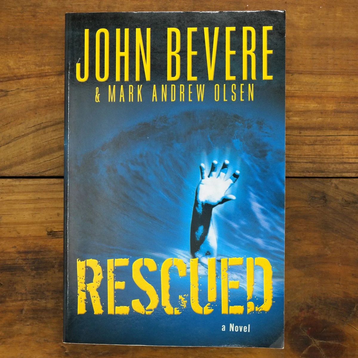 Rescued | Christian Fiction | Mickle & More Second-Hand Books