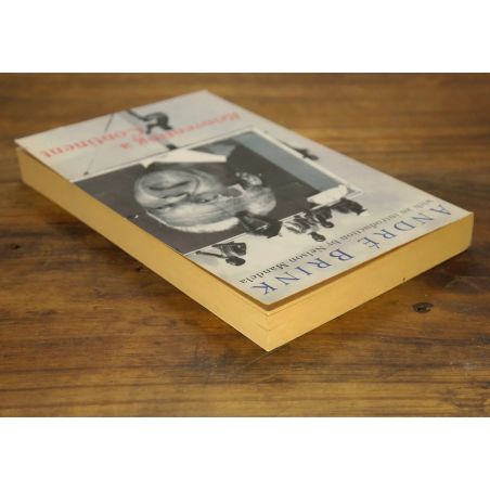 Reinventing a Continent: Writing and Politics in South Africa | History | Mickle & More Second-Hand Books