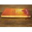 The Alchemist | Literary | Mickle & More Second-Hand Books