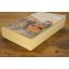 Some Sunny Day | Historical Fiction | Mickle & More Second-Hand Books