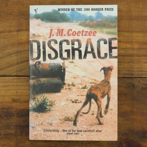 Disgrace | Literary | Mickle & More Second-Hand Books