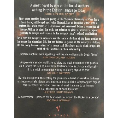 Disgrace | Literary | Mickle & More Second-Hand Books