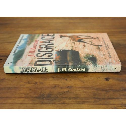 Disgrace | Literary | Mickle & More Second-Hand Books