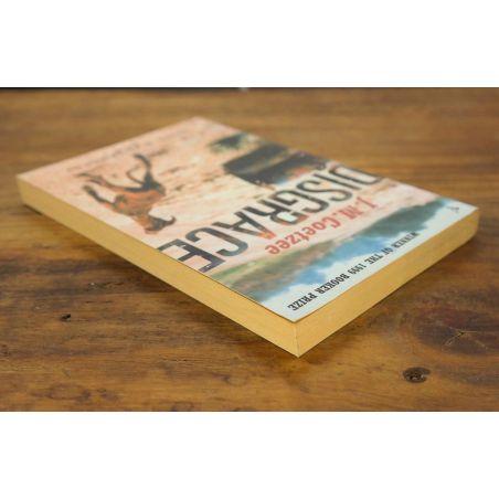 Disgrace | Literary | Mickle & More Second-Hand Books