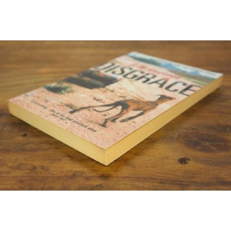 Disgrace | Literary | Mickle & More Second-Hand Books