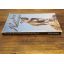 Rocky And The San Bushmen | Action / Adventure | Mickle & More Second-Hand Books