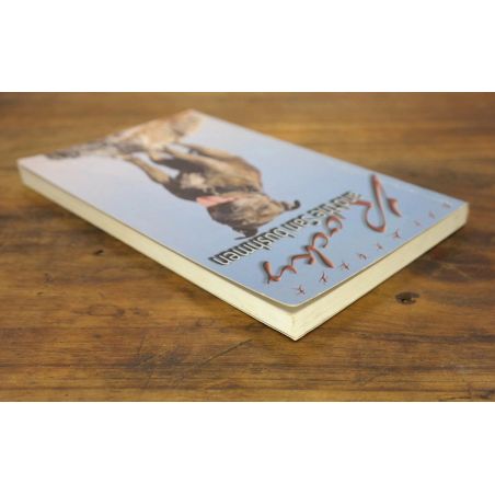 Rocky And The San Bushmen | Action / Adventure | Mickle & More Second-Hand Books