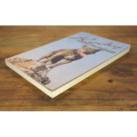 Rocky And The San Bushmen | Action / Adventure | Mickle & More Second-Hand Books
