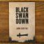 Black Swan Down | Action / Adventure | Mickle & More Second-Hand Books