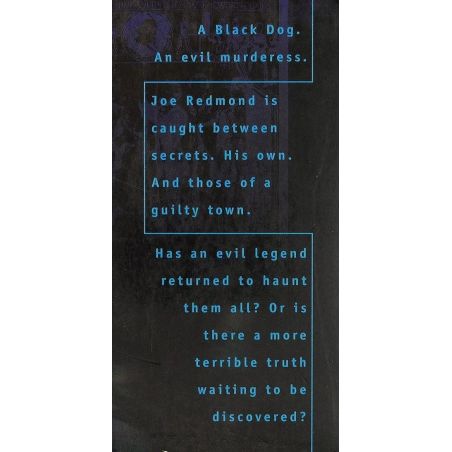 Black Sister | Thriller | Mickle & More Second-Hand Books
