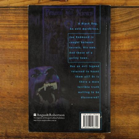 Black Sister | Thriller | Mickle & More Second-Hand Books
