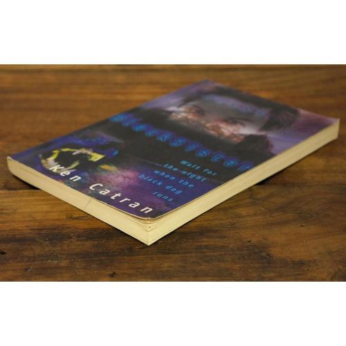 Black Sister | Thriller | Mickle & More Second-Hand Books