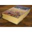Gai-Jin | Historical Fiction | Mickle & More Second-Hand Books