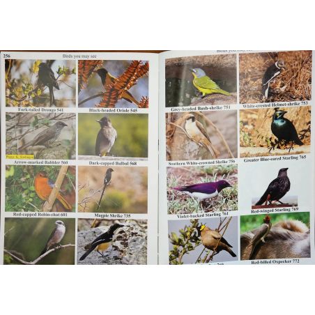 Peter's Guide - Kruger National Park | Destinations | Mickle & More Second-Hand Books