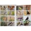 Peter's Guide - Kruger National Park | Destinations | Mickle & More Second-Hand Books