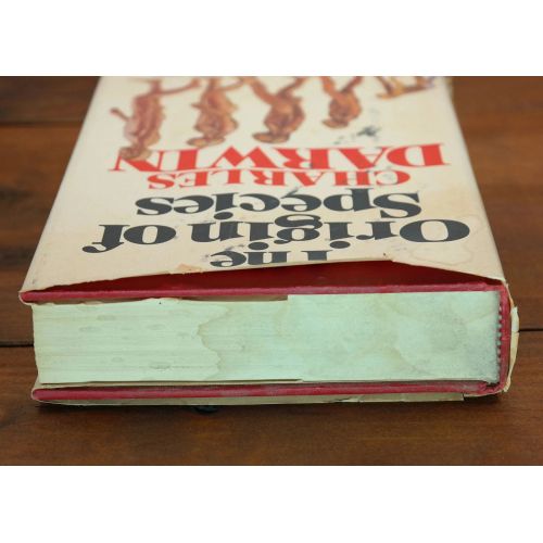 The Origin Of Species | Science | Mickle & More Second-Hand Books