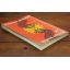 Design Motifs Of Ancient Mexico | Arts & Literature | Mickle & More Second-Hand Books
