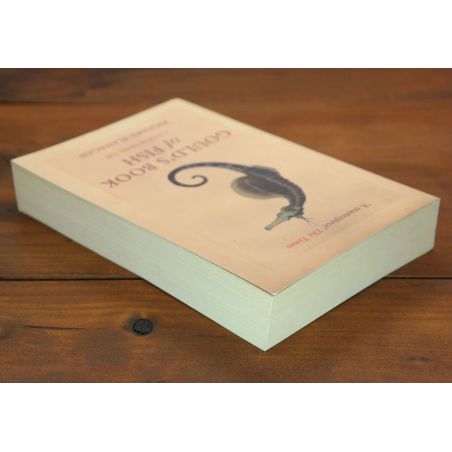 Gould's Book Of Fish | Historical Fiction | Mickle & More Second-Hand Books