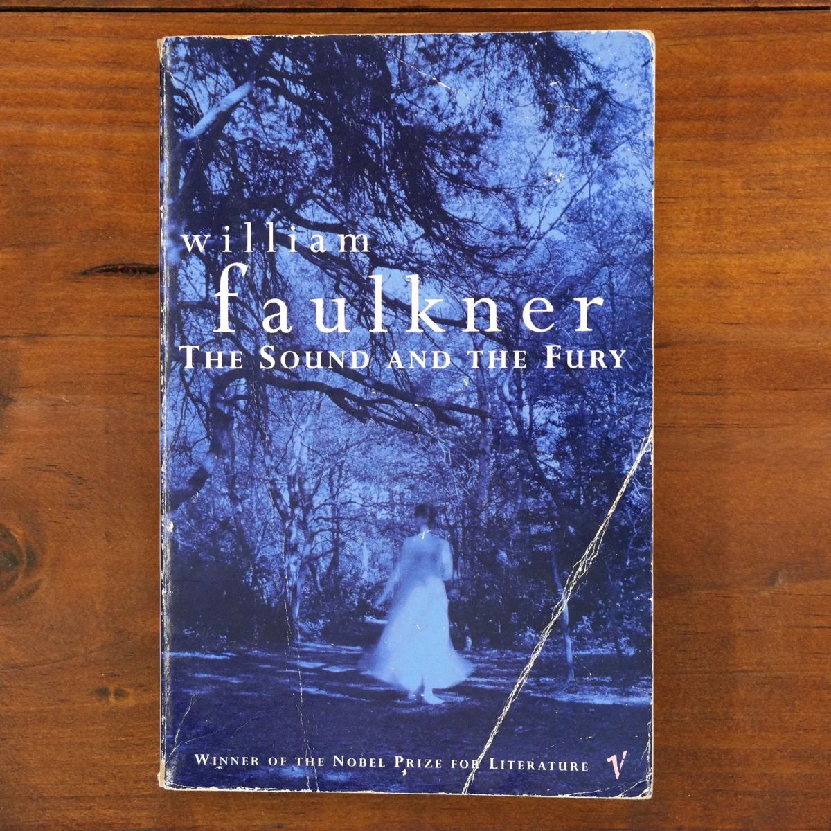 The Sound And The Fury | Literary | Mickle & More Second-Hand Books