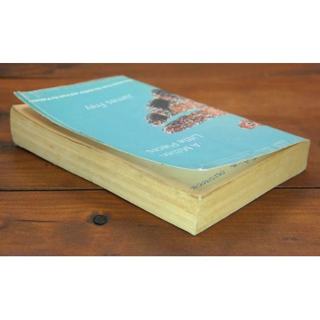 A Million Little Pieces | Bargain Bin | Mickle & More Second-Hand Books