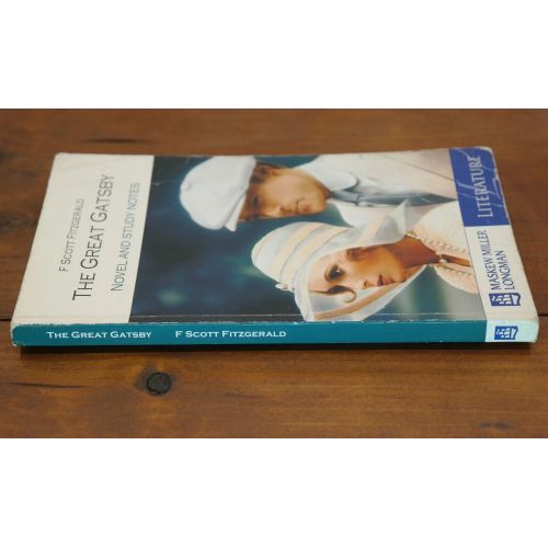 The Great Gatsby | Classics | Mickle & More Second-Hand Books