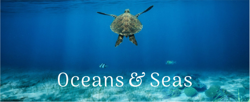 Oceans & Seas